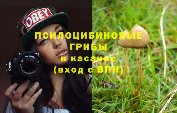 apvp Абаза