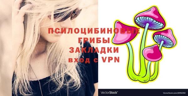 кокс Алексин